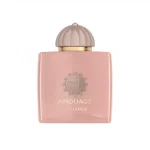 عطر آمواج گایدنس | Amouage Guidance