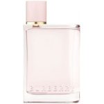 باربری هر ادوپرفیوم زنانه | Burberry Her Eau de Parfum