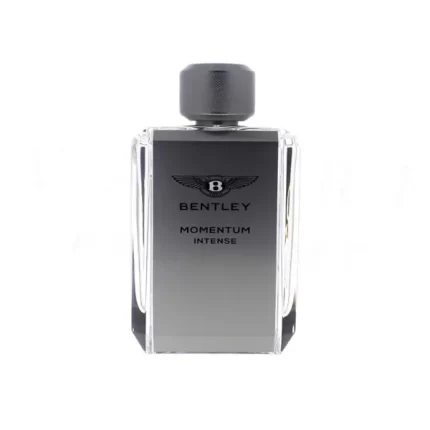 بنتلی مومنتوم اینتنس | Bentley Momentum Intense