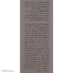 کانسیلر ورونیک مدل Natural حجم 15 میلی لیتر